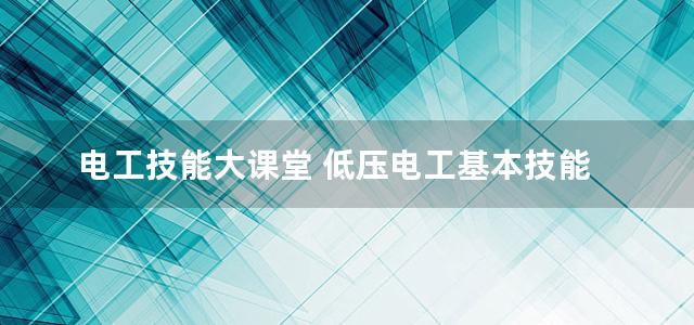 电工技能大课堂 低压电工基本技能